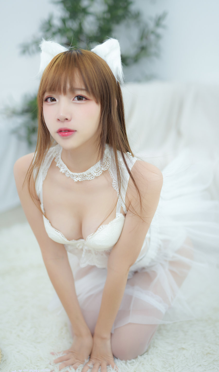 二佐Nisa COSPLAY写真图片包合集[215套][持续更新]