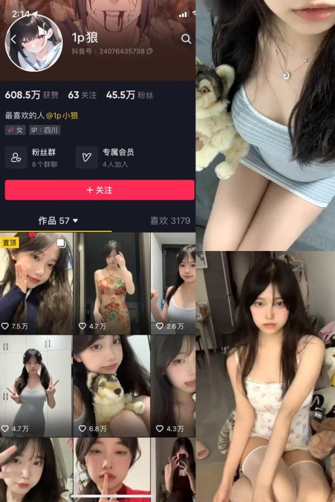 抖音1p狼 钰钰岛遇 微密圈全套作品合集资源[持续更新] 维密圈|秘语 岛遇-第1张
