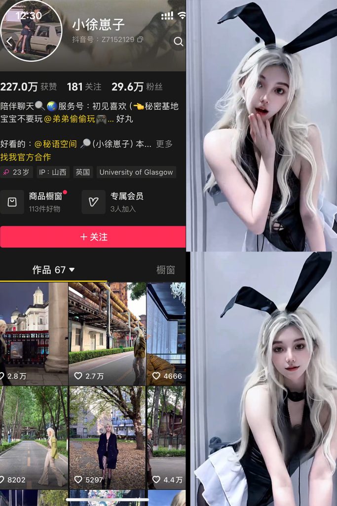 抖音 小徐崽子 秘语空间网盘资源合集[持续更新] 维密圈|秘语 岛遇-第1张