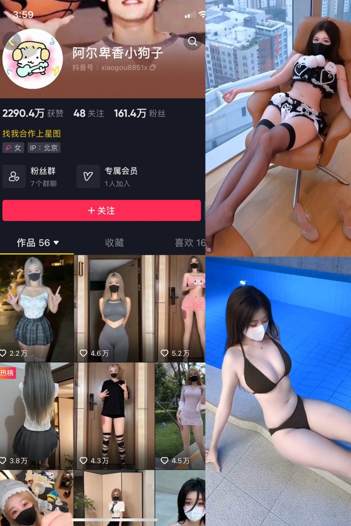 抖音网红阿尔卑香小狗子微密圈图片&视频 全套资源合集[持续更新] 维密圈|秘语 岛遇-第1张