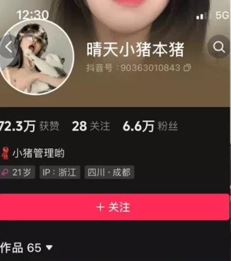 抖音晴天小猪本猪微密圈图片&视频 作品合集 维密圈|秘语 岛遇-第1张