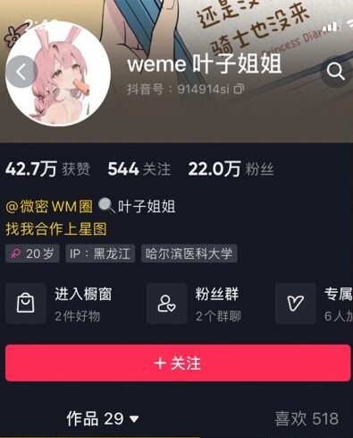 叶子姐姐微密圈 网盘资源合集[持续更新] 维密圈|秘语 岛遇-第1张