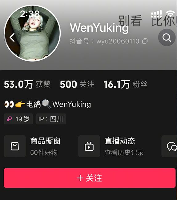抖音 WenYuking 微密圈写真合集 维密圈|秘语 岛遇-第1张