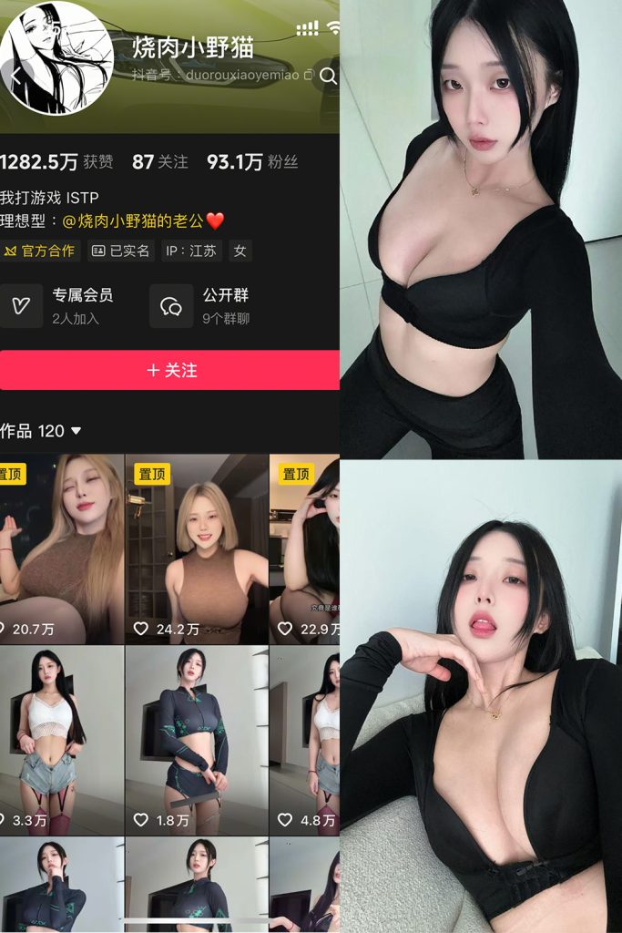 抖音 烧肉小野猫 秘语空间付费写真&视频 作品合集 维密圈|秘语 岛遇-第1张