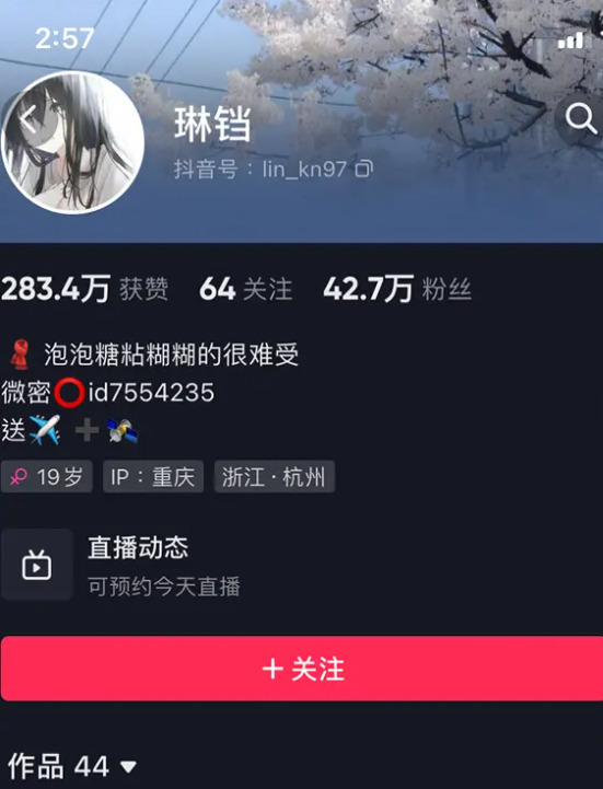琳铛 微密圈秘语空间 写真图片视频 网盘资源合集 维密圈|秘语 岛遇-第1张