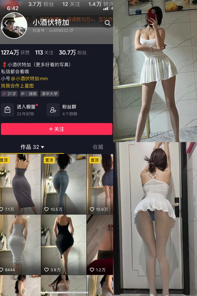小酒伏特加微密圈写真和视频作品合集 维密圈|秘语 岛遇-第1张