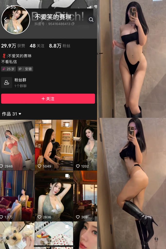 不爱笑的赛琳微密圈写真合集打包下载[持续更新] 维密圈|秘语 岛遇-第1张